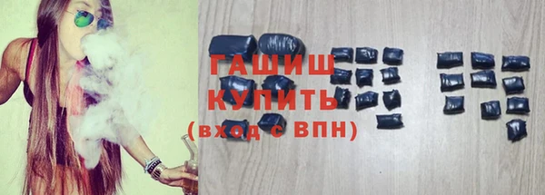 гидра Няндома