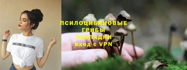 эйфоретик Нязепетровск